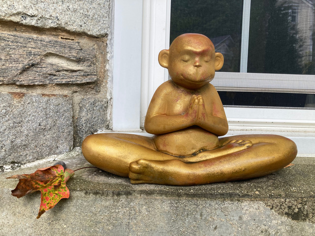 Zen.nl, Zen, meditatie, leren mediteren, foto